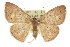  ( - 11ANIC-02525)  @14 [ ] CreativeCommons - Attribution (2011) ANIC/CBG Photography Group Centre for Biodiversity Genomics
