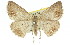  ( - 11ANIC-02545)  @13 [ ] CreativeCommons - Attribution (2011) ANIC/CBG Photography Group Centre for Biodiversity Genomics