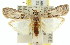  ( - 11ANIC-02598)  @13 [ ] CreativeCommons - Attribution (2011) ANIC/CBG Photography Group Centre for Biodiversity Genomics