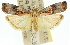  ( - 11ANIC-02635)  @14 [ ] CreativeCommons - Attribution (2011) ANIC/CBG Photography Group Centre for Biodiversity Genomics