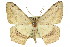  ( - 11ANIC-02715)  @11 [ ] CreativeCommons - Attribution (2011) ANIC/CBG Photography Group Centre for Biodiversity Genomics