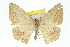  ( - 11ANIC-02716)  @13 [ ] CreativeCommons - Attribution (2011) ANIC/CBG Photography Group Centre for Biodiversity Genomics