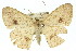  ( - 11ANIC-02719)  @12 [ ] CreativeCommons - Attribution (2011) ANIC/CBG Photography Group Centre for Biodiversity Genomics