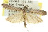  ( - 11ANIC-02811)  @15 [ ] CreativeCommons - Attribution (2011) ANIC/CBG Photography Group Centre for Biodiversity Genomics