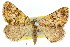  ( - 11ANIC-02904)  @11 [ ] CreativeCommons - Attribution (2011) ANIC/CBG Photography Group Centre for Biodiversity Genomics