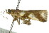  ( - 11ANIC-03024)  @12 [ ] CreativeCommons - Attribution (2011) ANIC/CBG Photography Group Centre for Biodiversity Genomics