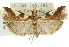  ( - 11ANIC-03025)  @14 [ ] CreativeCommons - Attribution (2011) ANIC/CBG Photography Group Centre for Biodiversity Genomics