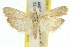  ( - 11ANIC-03779)  @11 [ ] CreativeCommons - Attribution (2011) ANIC/CBG Photography Group Centre for Biodiversity Genomics
