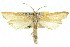  ( - 11ANIC-03835)  @11 [ ] CreativeCommons - Attribution (2011) ANIC/CBG Photography Group Centre for Biodiversity Genomics