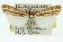  (Ubida - 11ANIC-04656)  @14 [ ] CreativeCommons - Attribution (2011) ANIC/CBG Photography Group Centre for Biodiversity Genomics