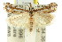  (Diadexia anchylocrossa - 11ANIC-04675)  @13 [ ] CreativeCommons - Attribution (2011) ANIC/CBG Photography Group Centre for Biodiversity Genomics