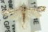  ( - 11ANIC-04721)  @13 [ ] CreativeCommons - Attribution (2011) ANIC/CBG Photography Group Centre for Biodiversity Genomics