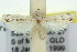  ( - 11ANIC-04722)  @13 [ ] CreativeCommons - Attribution (2011) ANIC/CBG Photography Group Centre for Biodiversity Genomics