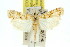  (Prionapteryx sp. ANIC2 - 11ANIC-04724)  @11 [ ] CreativeCommons - Attribution (2011) ANIC/CBG Photography Group Centre for Biodiversity Genomics