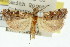  ( - 11ANIC-04739)  @11 [ ] CreativeCommons - Attribution (2011) ANIC/CBG Photography Group Centre for Biodiversity Genomics