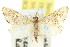  ( - 11ANIC-04001)  @11 [ ] CreativeCommons - Attribution (2011) ANIC/CBG Photography Group Centre for Biodiversity Genomics