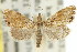  ( - 11ANIC-04003)  @11 [ ] CreativeCommons - Attribution (2011) ANIC/CBG Photography Group Centre for Biodiversity Genomics