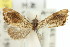  ( - 11ANIC-04004)  @12 [ ] CreativeCommons - Attribution (2011) ANIC/CBG Photography Group Centre for Biodiversity Genomics