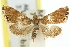  ( - 11ANIC-04005)  @11 [ ] CreativeCommons - Attribution (2011) ANIC/CBG Photography Group Centre for Biodiversity Genomics