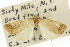  ( - 11ANIC-04069)  @11 [ ] CreativeCommons - Attribution (2011) ANIC/CBG Photography Group Centre for Biodiversity Genomics