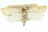  ( - 11ANIC-04073)  @11 [ ] CreativeCommons - Attribution (2011) ANIC/CBG Photography Group Centre for Biodiversity Genomics