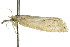  ( - 11ANIC-04075)  @12 [ ] CreativeCommons - Attribution (2011) ANIC/CBG Photography Group Centre for Biodiversity Genomics