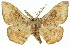  ( - 11ANIC-04148)  @14 [ ] CreativeCommons - Attribution (2011) ANIC/CBG Photography Group Centre for Biodiversity Genomics