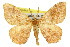  ( - 11ANIC-04153)  @14 [ ] CreativeCommons - Attribution (2011) ANIC/CBG Photography Group Centre for Biodiversity Genomics