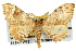  ( - 11ANIC-04154)  @14 [ ] CreativeCommons - Attribution (2011) ANIC/CBG Photography Group Centre for Biodiversity Genomics