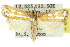  ( - 11ANIC-04183)  @14 [ ] CreativeCommons - Attribution (2011) ANIC/CBG Photography Group Centre for Biodiversity Genomics
