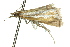  ( - 11ANIC-04186)  @12 [ ] CreativeCommons - Attribution (2011) ANIC/CBG Photography Group Centre for Biodiversity Genomics