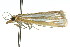  ( - 11ANIC-04187)  @12 [ ] CreativeCommons - Attribution (2011) ANIC/CBG Photography Group Centre for Biodiversity Genomics