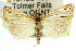 ( - 11ANIC-04218)  @13 [ ] CreativeCommons - Attribution (2011) ANIC/CBG Photography Group Centre for Biodiversity Genomics