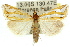  (Hednota trissomochla - 11ANIC-04221)  @14 [ ] CreativeCommons - Attribution (2011) ANIC/CBG Photography Group Centre for Biodiversity Genomics