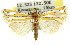  ( - 11ANIC-04222)  @13 [ ] CreativeCommons - Attribution (2011) ANIC/CBG Photography Group Centre for Biodiversity Genomics