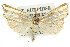 ( - 11ANIC-04228)  @14 [ ] CreativeCommons - Attribution (2011) ANIC/CBG Photography Group Centre for Biodiversity Genomics