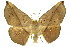  ( - 11ANIC-04292)  @14 [ ] CreativeCommons - Attribution (2011) ANIC/CBG Photography Group Centre for Biodiversity Genomics