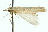  ( - 11ANIC-04496)  @12 [ ] CreativeCommons - Attribution (2011) ANIC/CBG Photography Group Centre for Biodiversity Genomics