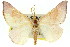  ( - 11ANIC-04971)  @11 [ ] CreativeCommons - Attribution (2011) ANIC/CBG Photography Group Centre for Biodiversity Genomics
