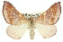  ( - 11ANIC-04972)  @11 [ ] CreativeCommons - Attribution (2011) ANIC/CBG Photography Group Centre for Biodiversity Genomics