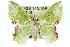  ( - 11ANIC-05134)  @14 [ ] CreativeCommons - Attribution (2011) ANIC/CBG Photography Group Centre for Biodiversity Genomics
