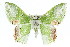  ( - 11ANIC-05136)  @14 [ ] CreativeCommons - Attribution (2011) ANIC/CBG Photography Group Centre for Biodiversity Genomics
