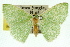 ( - 11ANIC-05153)  @11 [ ] CreativeCommons - Attribution (2011) ANIC/CBG Photography Group Centre for Biodiversity Genomics