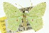  ( - 11ANIC-05166)  @11 [ ] CreativeCommons - Attribution (2011) ANIC/CBG Photography Group Centre for Biodiversity Genomics