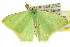  ( - 11ANIC-05170)  @13 [ ] CreativeCommons - Attribution (2011) ANIC/CBG Photography Group Centre for Biodiversity Genomics