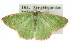  ( - 11ANIC-05404)  @14 [ ] CreativeCommons - Attribution (2011) ANIC/CBG Photography Group Centre for Biodiversity Genomics