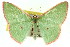  ( - 11ANIC-05408)  @11 [ ] CreativeCommons - Attribution (2011) ANIC/CBG Photography Group Centre for Biodiversity Genomics