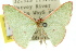  ( - 11ANIC-05411)  @11 [ ] CreativeCommons - Attribution (2011) ANIC/CBG Photography Group Centre for Biodiversity Genomics