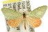  ( - 11ANIC-05467)  @13 [ ] CreativeCommons - Attribution (2011) ANIC/CBG Photography Group Centre for Biodiversity Genomics