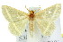  ( - 11ANIC-05613)  @15 [ ] CreativeCommons - Attribution (2011) ANIC/CBG Photography Group Centre for Biodiversity Genomics